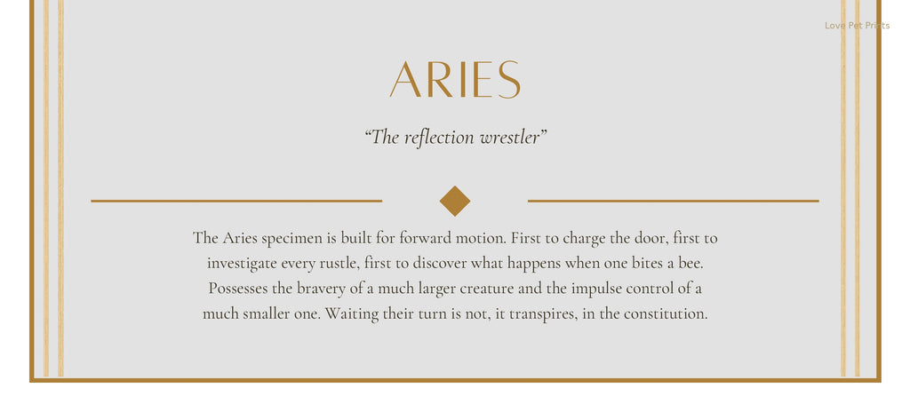 Aries Dachshund — Dog Zodiac Print | Instant Download