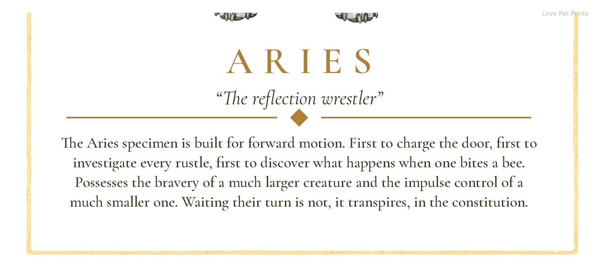 Aries Staffy | Botanical Dog Zodiac Print | Instant Download