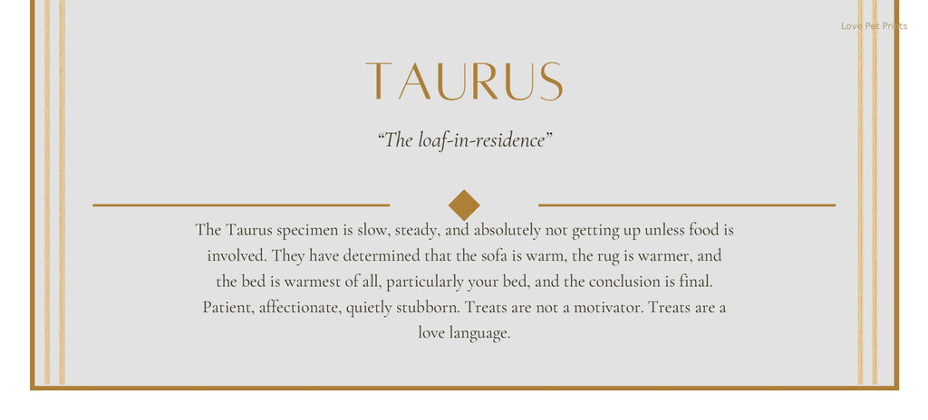 Taurus Golden Retriever — Dog Zodiac Print | Instant Download