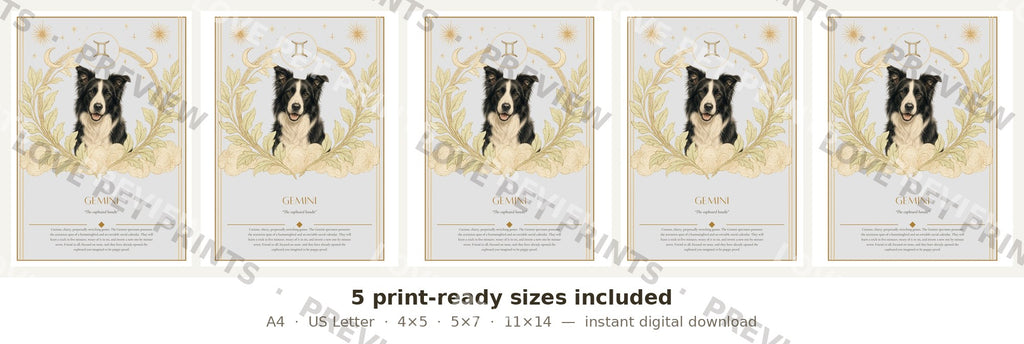 Gemini Border Collie — Dog Zodiac Print | Instant Download