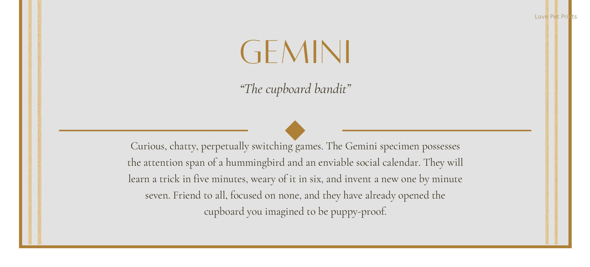 Gemini Border Collie — Dog Zodiac Print | Instant Download