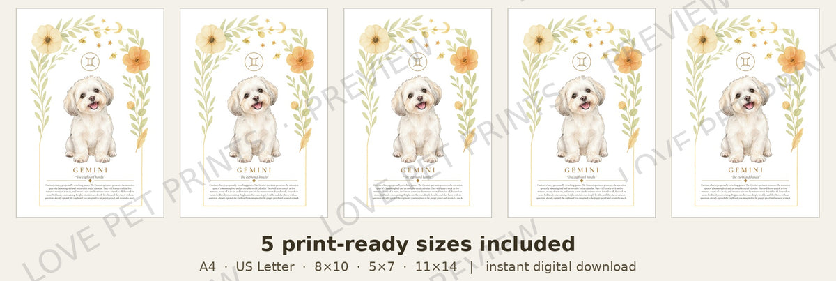 Gemini Maltese Shih Tzu | Botanical Dog Zodiac Print | Instant Download
