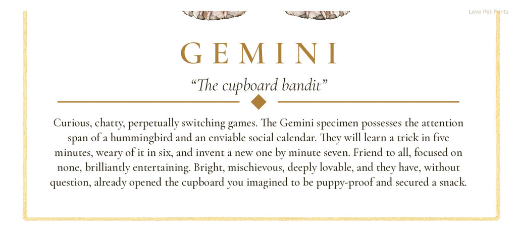Gemini Maltese Shih Tzu | Botanical Dog Zodiac Print | Instant Download