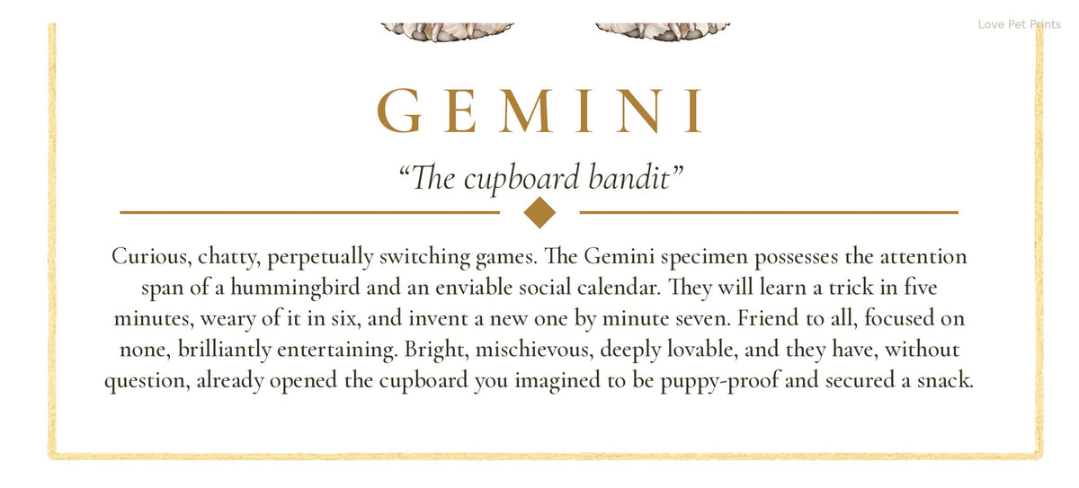 Gemini Maltese Shih Tzu | Botanical Dog Zodiac Print | Instant Download