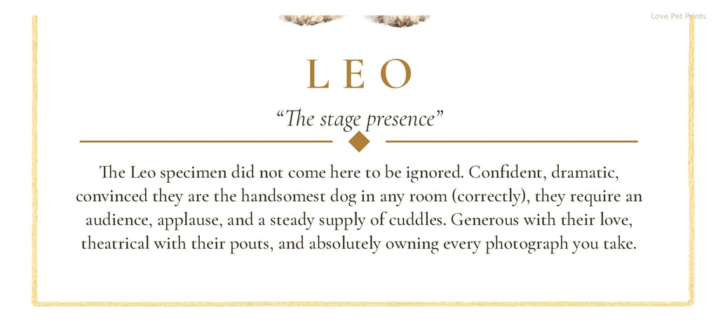 Leo Pomeranian | Botanical Dog Zodiac Print | Instant Download