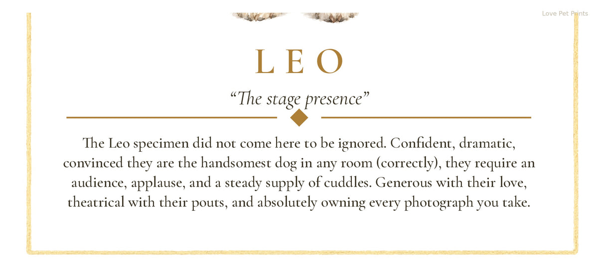 Leo Pomeranian | Botanical Dog Zodiac Print | Instant Download