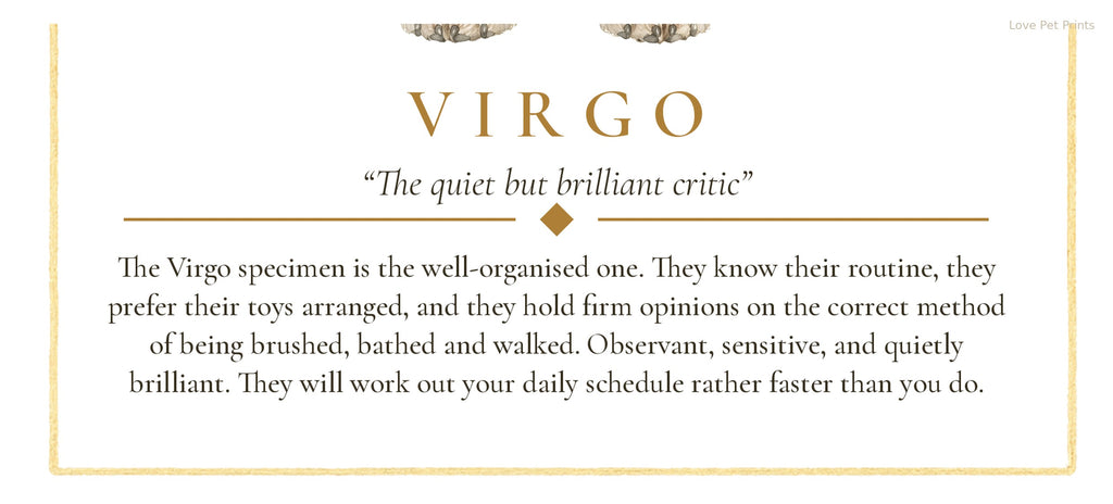 Virgo Westie | Botanical Dog Zodiac Print | Instant Download