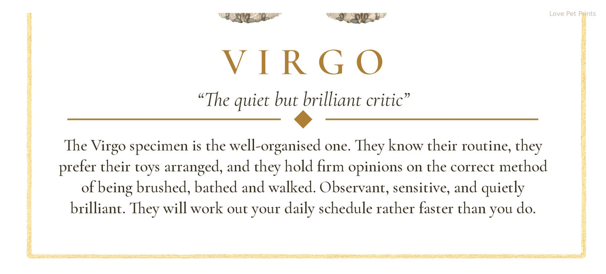 Virgo Westie | Botanical Dog Zodiac Print | Instant Download