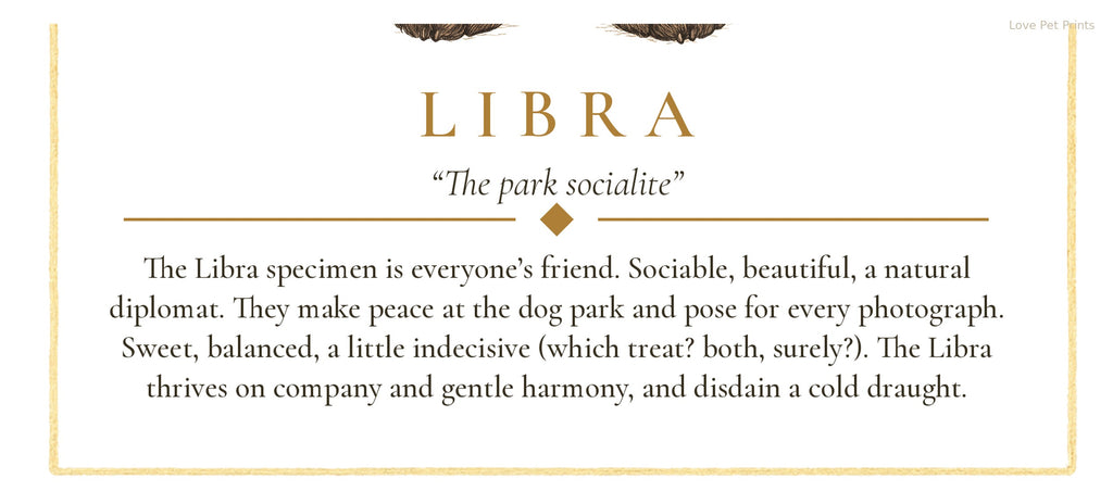 Libra Cavoodle | Botanical Dog Zodiac Print | Instant Download