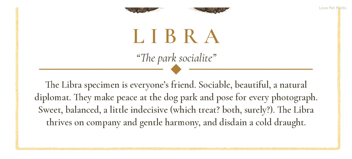Libra Cavoodle | Botanical Dog Zodiac Print | Instant Download