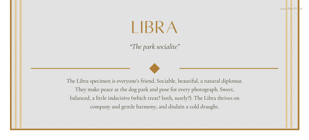 Libra Poodle — Dog Zodiac Print | Instant Download