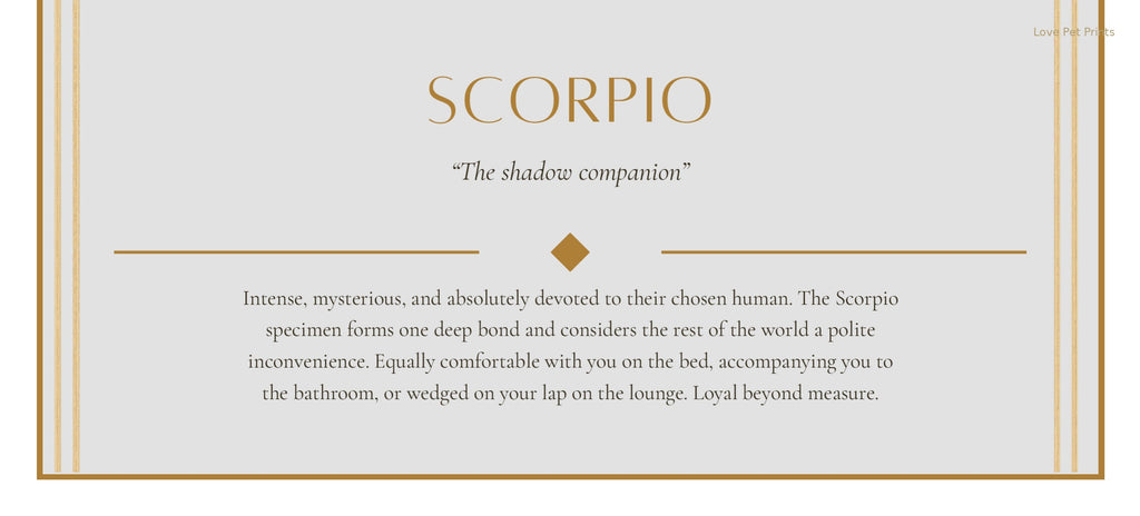 Scorpio Rottweiler — Dog Zodiac Print | Instant Download