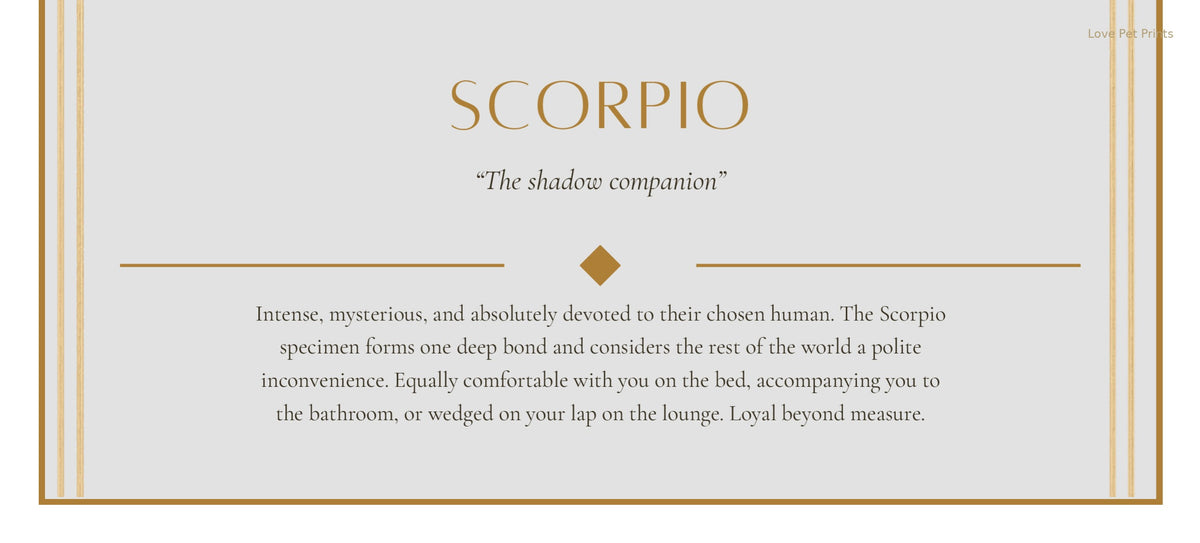 Scorpio Rottweiler — Dog Zodiac Print | Instant Download