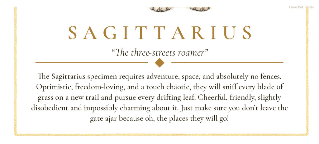 Sagittarius Husky | Botanical Dog Zodiac Print | Instant Download