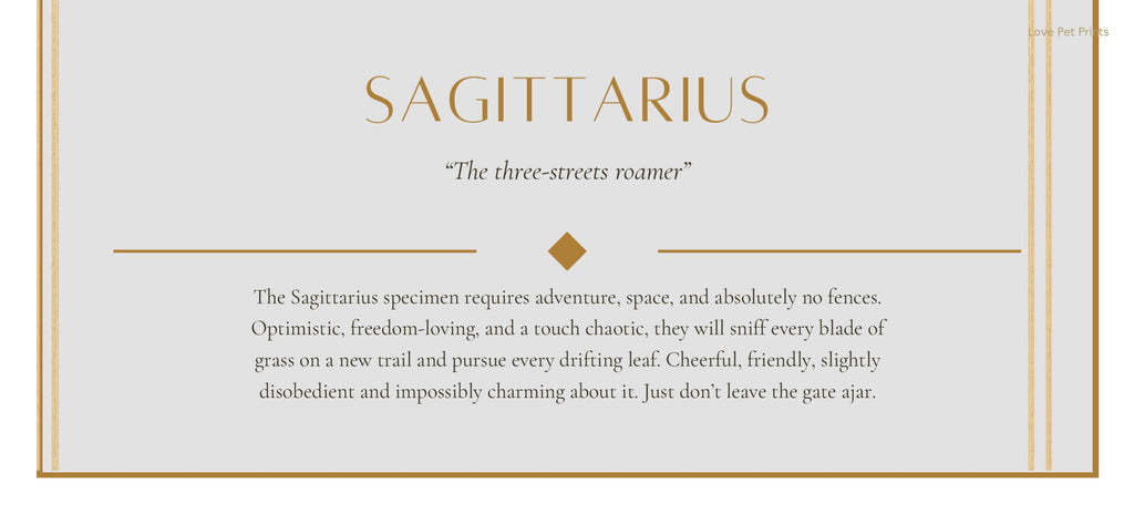 Sagittarius Shiba Inu — Dog Zodiac Print | Instant Download