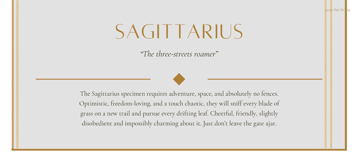 Sagittarius Shiba Inu — Dog Zodiac Print | Instant Download