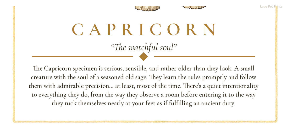Capricorn Australian Shepherd | Botanical Dog Zodiac Print | Instant Download