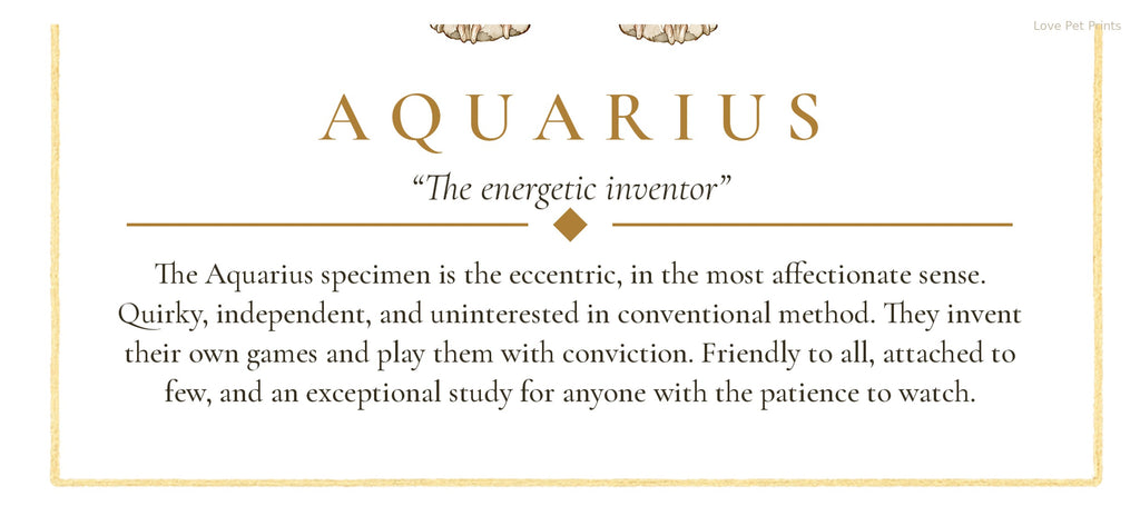 Aquarius Corgi | Botanical Dog Zodiac Print | Instant Download