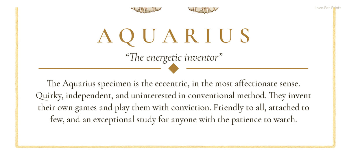 Aquarius Corgi | Botanical Dog Zodiac Print | Instant Download