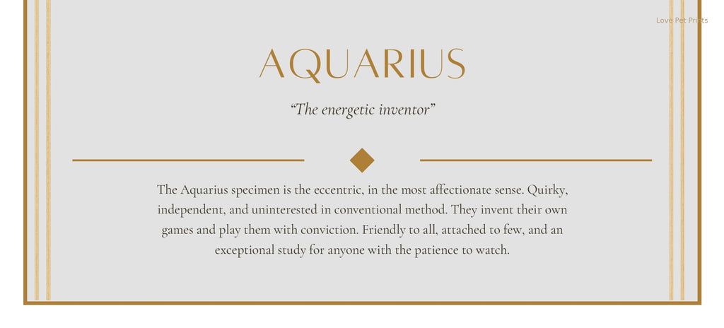 Aquarius Miniature Schnauzer — Dog Zodiac Print | Instant Download