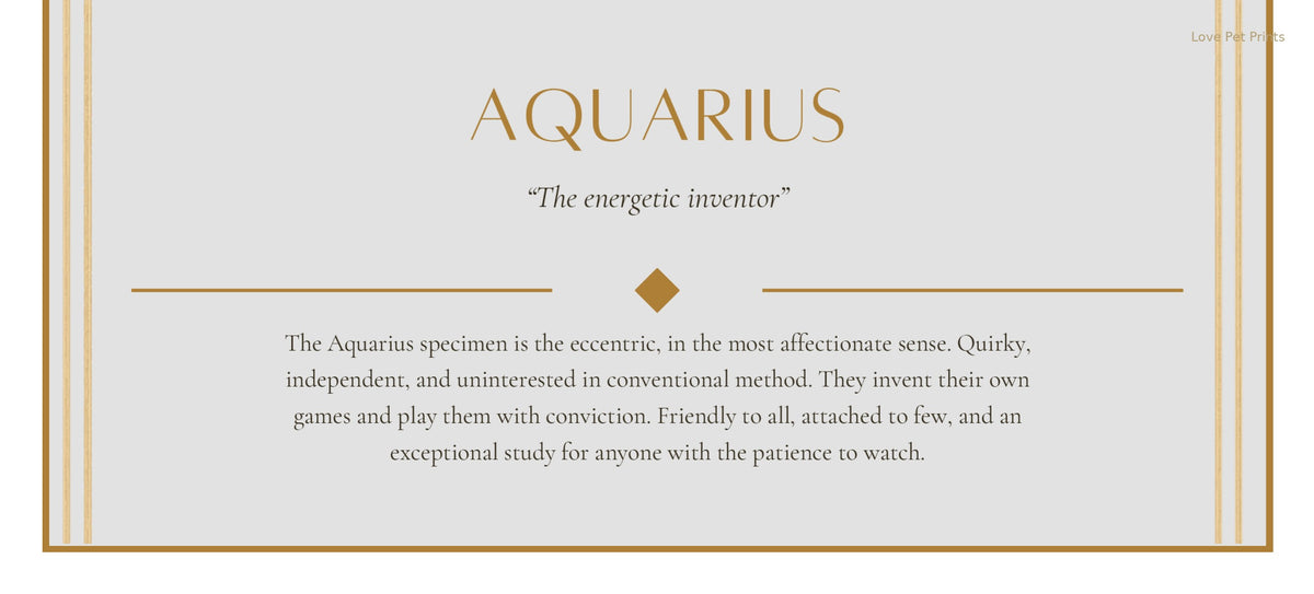 Aquarius Miniature Schnauzer — Dog Zodiac Print | Instant Download