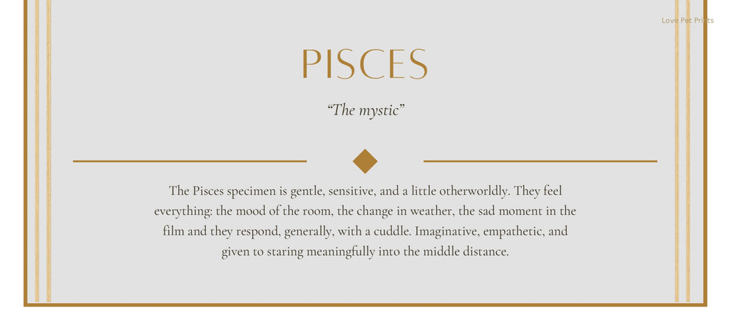 Pisces Cocker Spaniel — Dog Zodiac Print | Instant Download