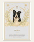 Gemini Border Collie — Dog Zodiac Print | Instant Download