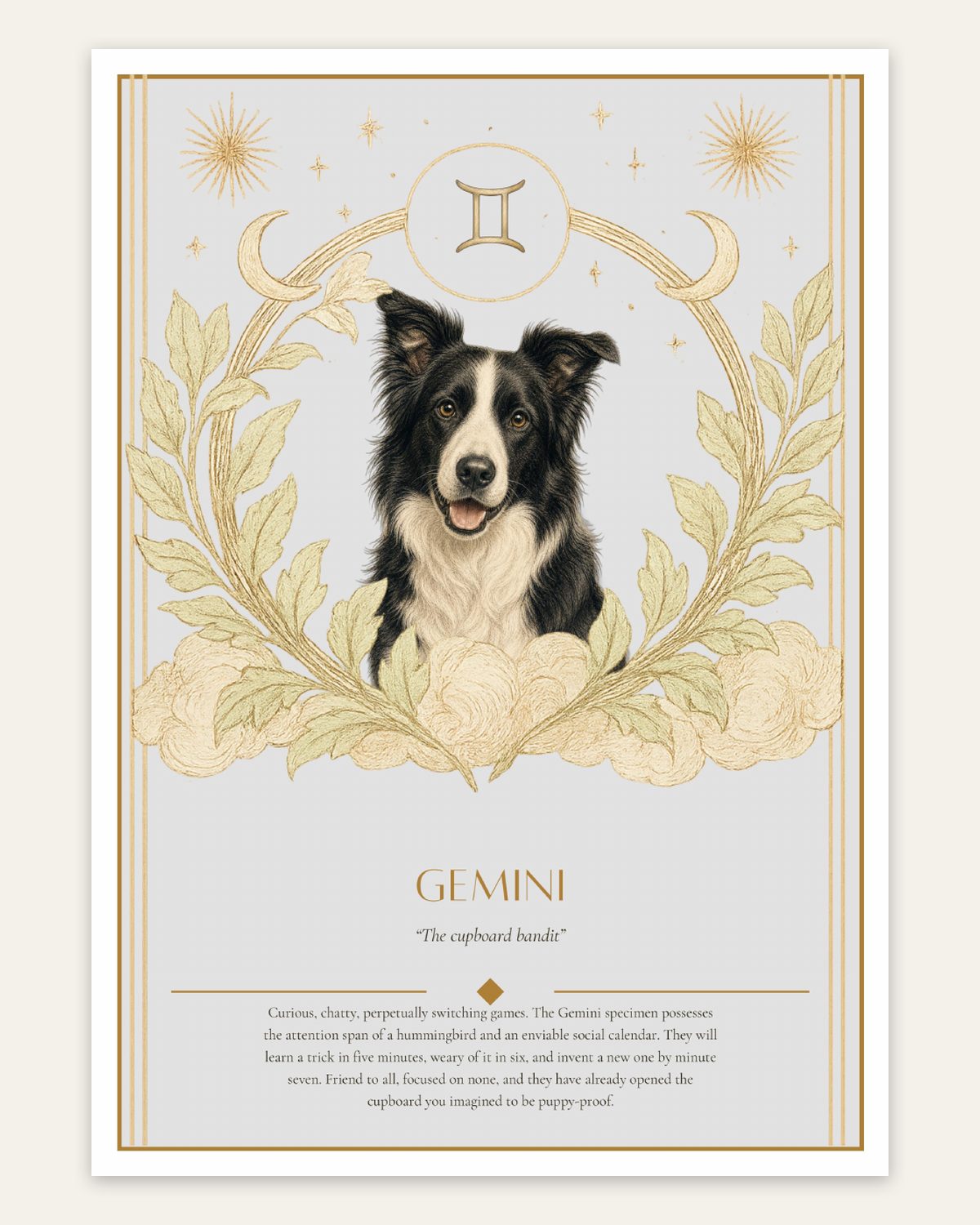 Gemini Border Collie — Dog Zodiac Print | Instant Download