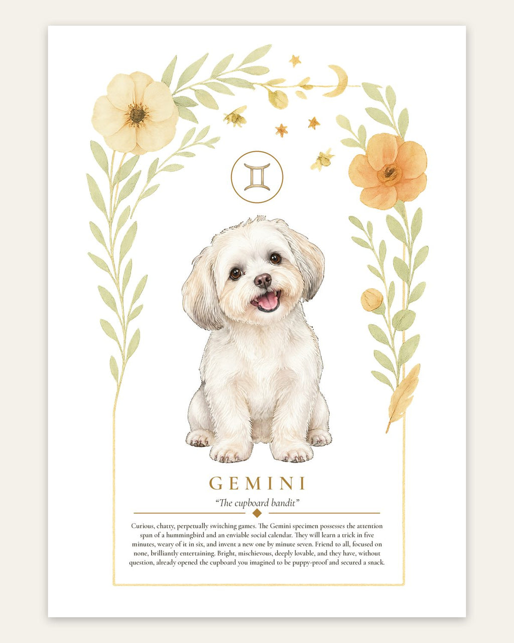 Gemini Maltese Shih Tzu | Botanical Dog Zodiac Print | Instant Download