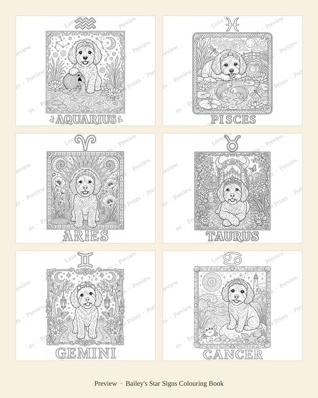 Bailey's Star Signs Colouring Book