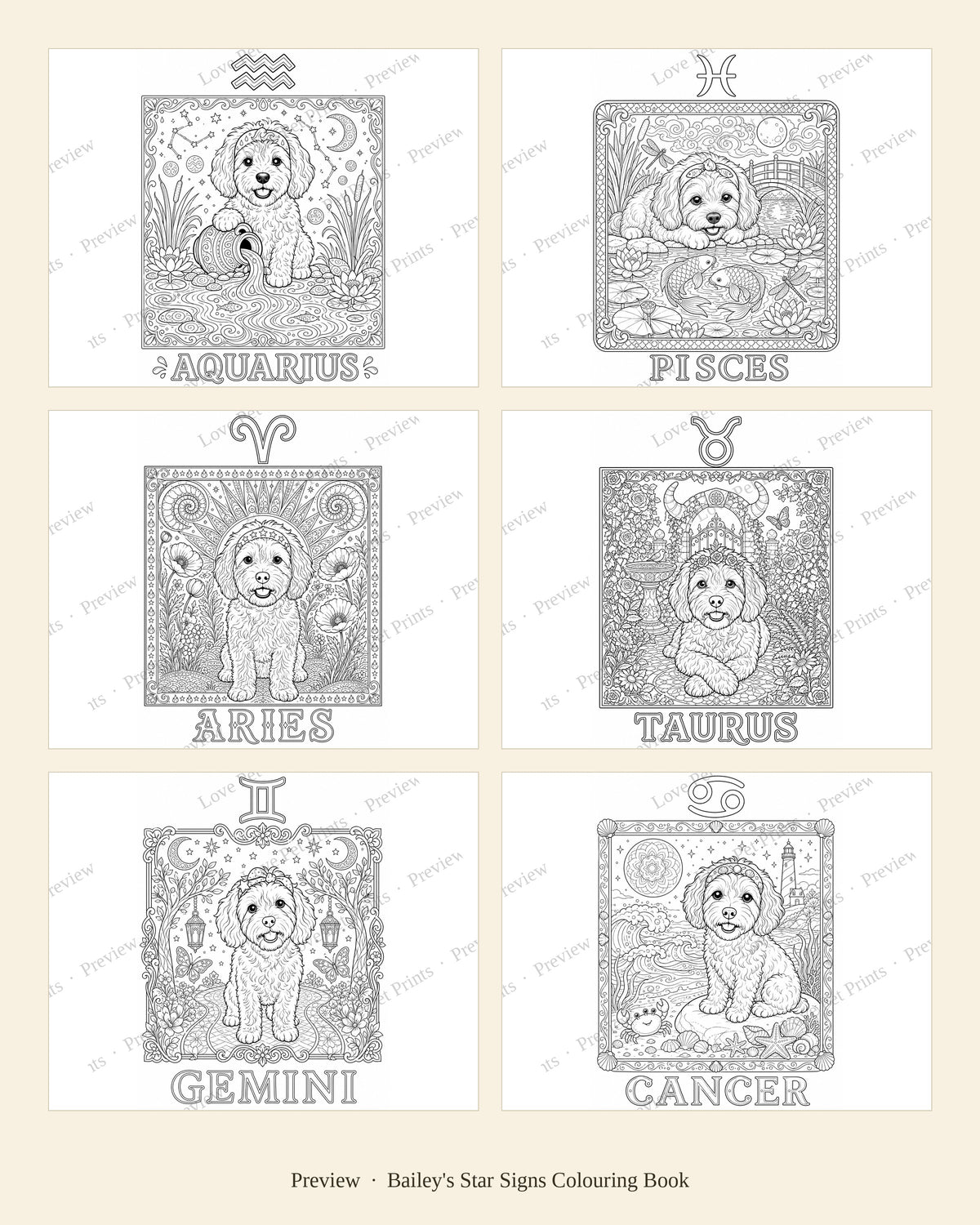 Bailey's Star Signs Colouring Book
