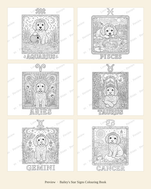 Bailey's Star Signs Colouring Book