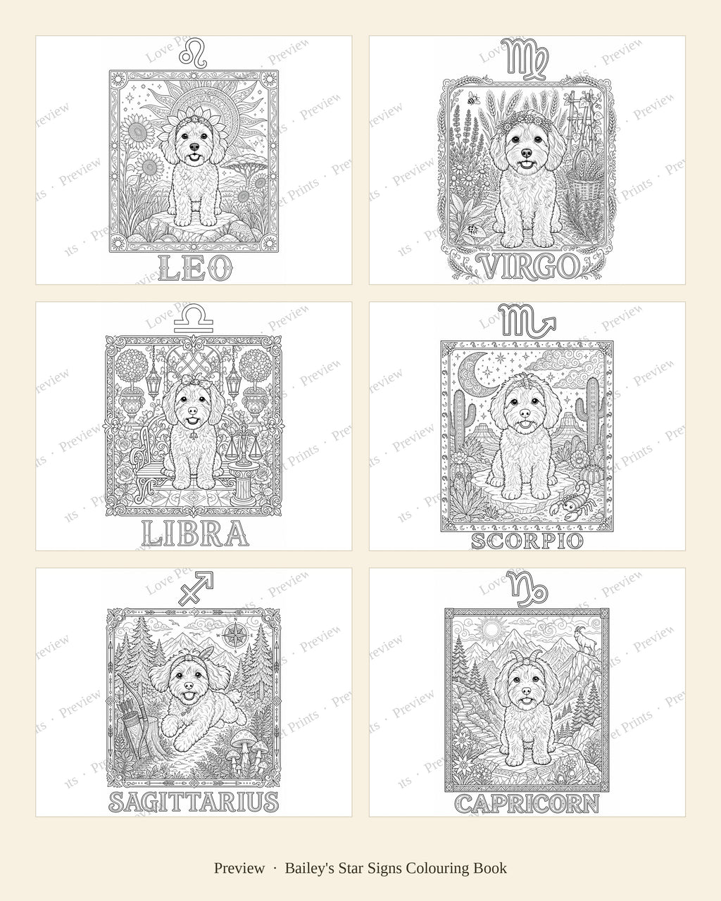 Bailey's Star Signs Colouring Book
