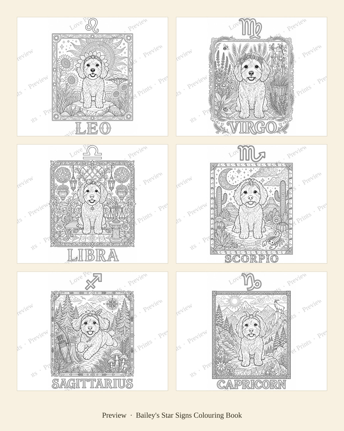 Bailey's Star Signs Colouring Book