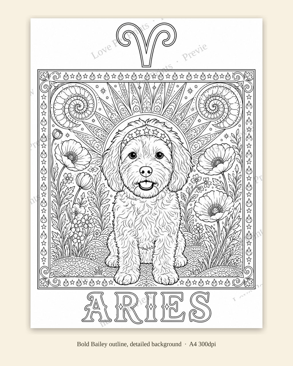 Bailey's Star Signs Colouring Book