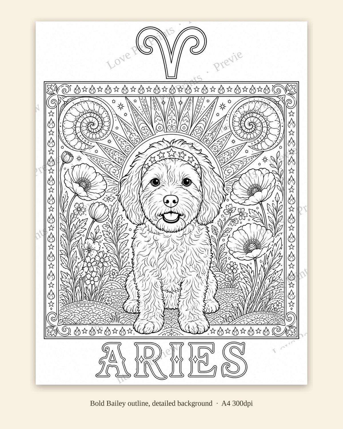 Bailey's Star Signs Colouring Book